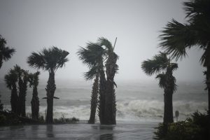 Typhoon Yagi leaves dozens dead in Vietnam, pounds infrastructure