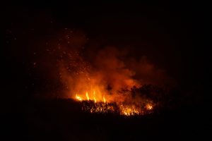 A continent ablaze: South America surpasses record for fires