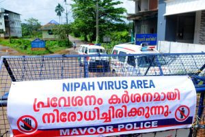 Kerala: Three more test negative for Nipah virus in Malappuram, contact list grows to 267