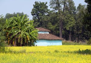 Three villages in Madhya Pradesh honored as 'Best Tourism Villages'