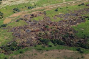 Worst drought on record lowers Amazon rivers to all-time lows