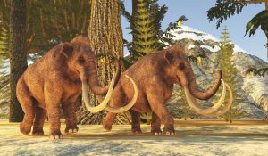 Researchers uncover remains of Ice Age mastodons in Peru