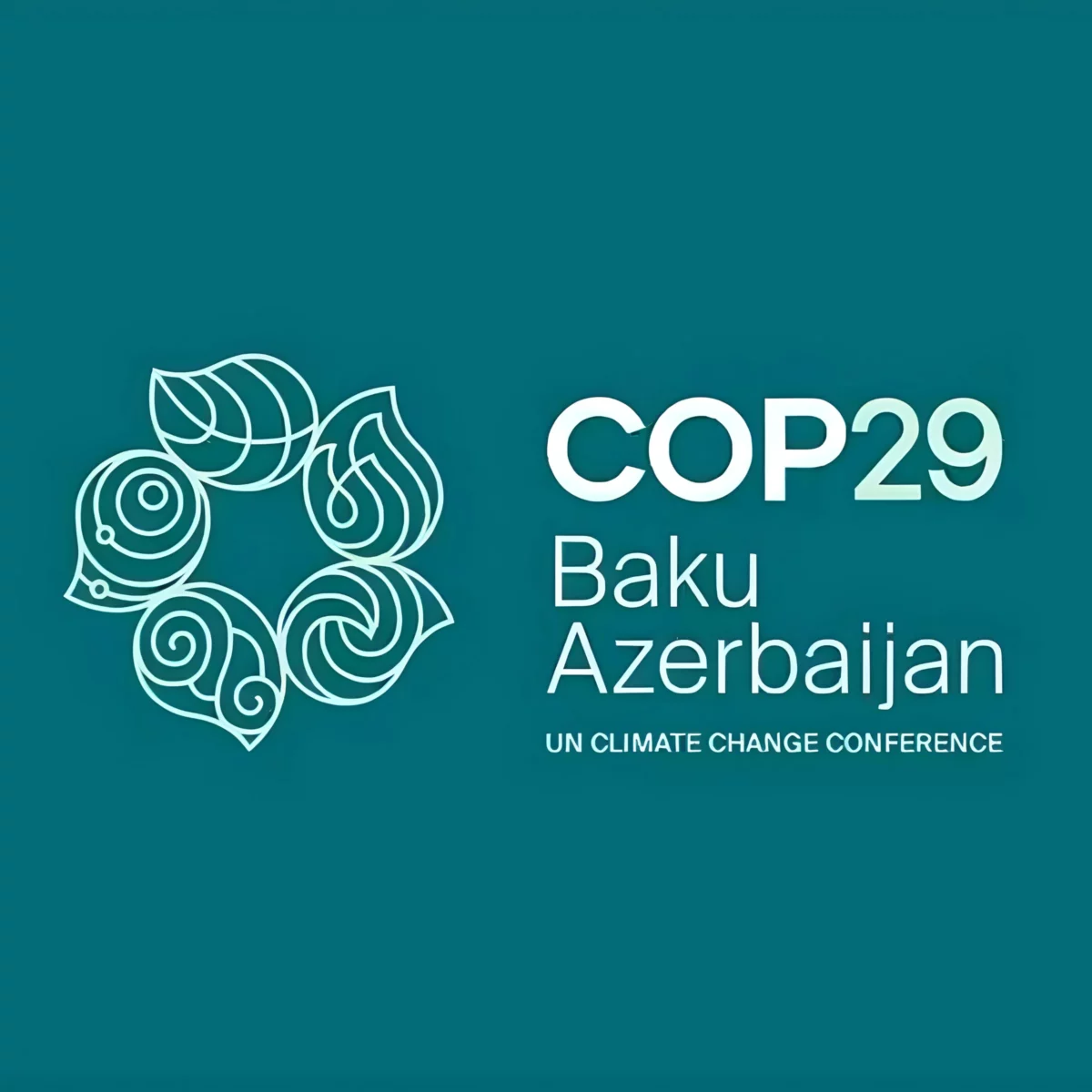 COP29: What is a carbon credit? What is Article 6?