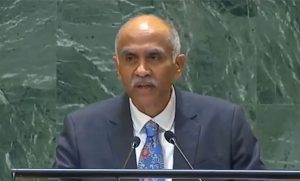 India critiques 'Summit of the Future' for insufficient focus on Security Council reforms at UN