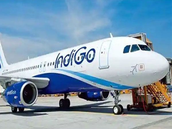 Two Indigo flights to Middle East from Mumbai grounded after bomb threat