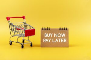 Who are buy now, pay later borrowers, and what are they buying?