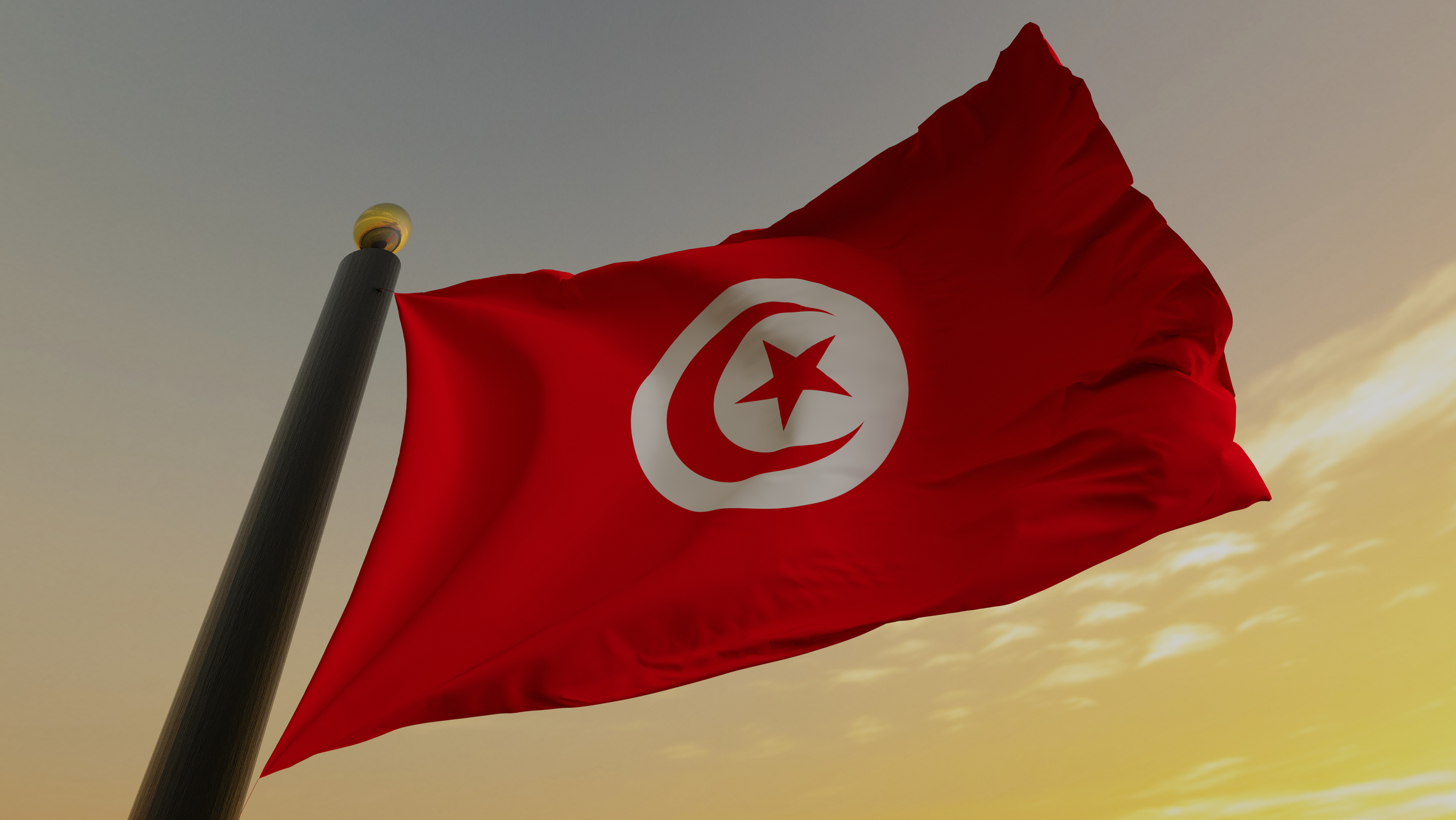 Tunisia presidential candidate Zammel sentenced to 12 years in prison