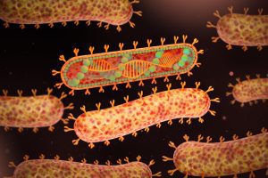 What is Marburg virus, and how worrying is it?