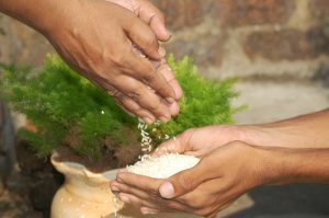 Government approves five-year extension of fortified rice supply