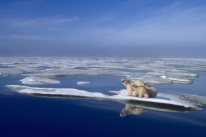 Current climate pledges still fall way short on Paris goals, UN body says