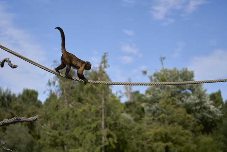 Himachal Pradesh’s Durgesh Aranya Zoological Park’ set to become India’s first Zoo with IGBC certification: CM Sukhu