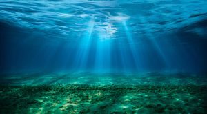 Deep ocean marine heatwaves may be under-reported, study says