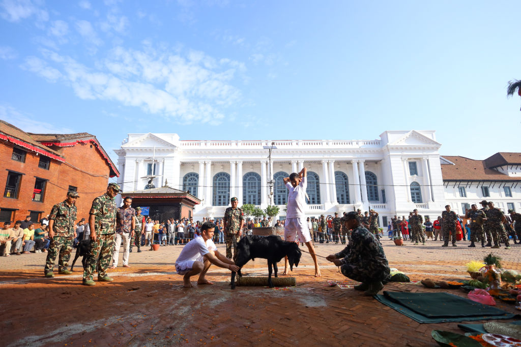 Devotees offer sacrifices at goddess shrines across Nepal on Navami