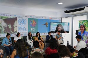 UN COP16 nature talks gridlocked as conservation funding trickles in