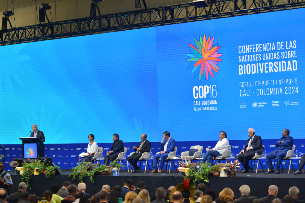 Countries launch nature coalition at UN COP16 talks, warn of human extinction