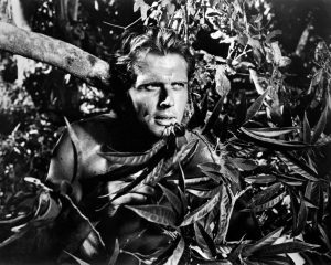 'Tarzan' actor Ron Ely passes away at 86