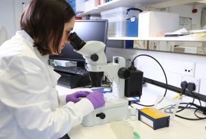 Researchers shed more light on breast cancer treatment