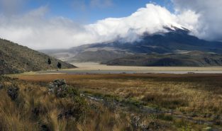 Colombia and Ecuador fight to save vital wetlands amid drought