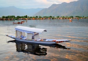Famous Chinar boat race organised in J&K's Dal Lake