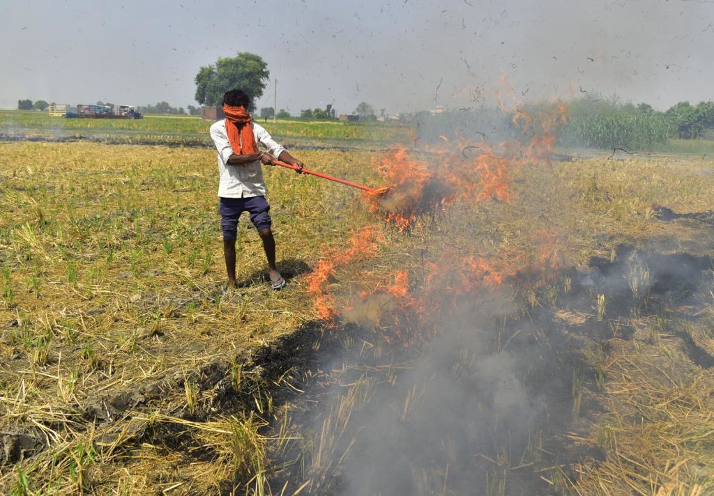 Centre doubles penalty for stubble burning in Delhi-NCR amid rising pollution levels