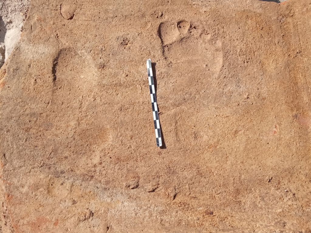 Fossil footprints in Kenya show two ancient human species coexisted