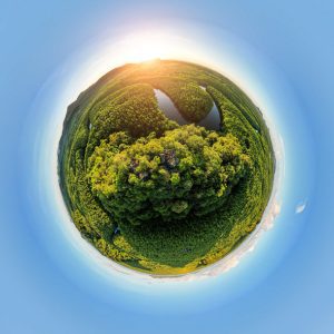 UN COP16 nature summit creates permanent body for Indigenous peoples
