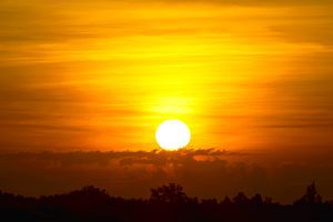 2024 will be world's hottest year on record, EU scientists say