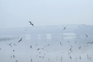 Delhi air pollution remains at 'severe plus' level, intensifying health concerns