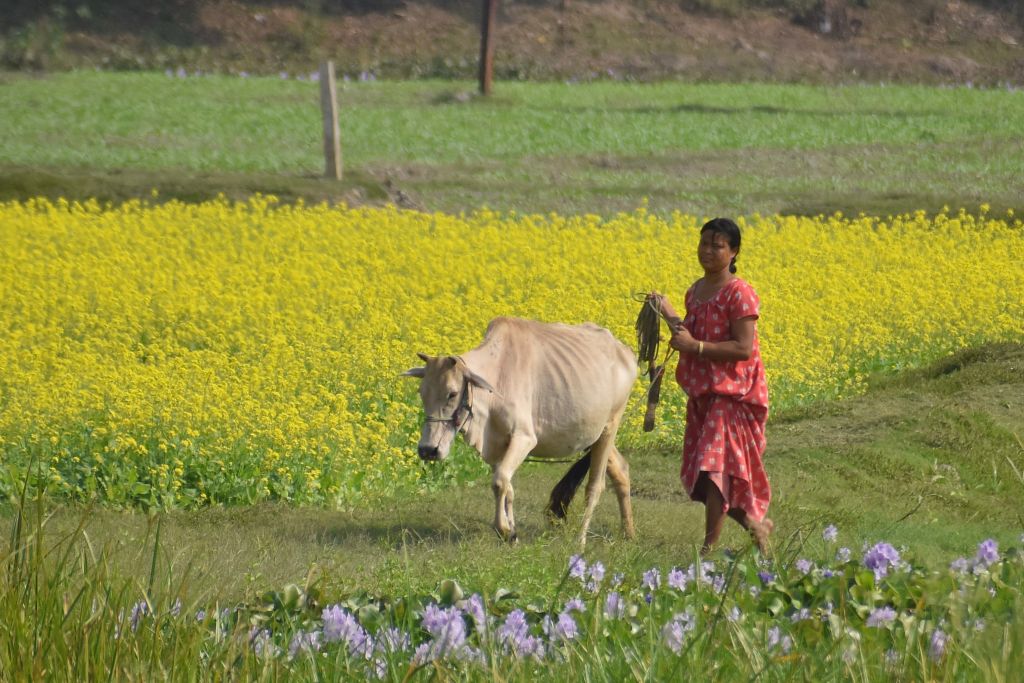 Cabinet approves National Mission on Natural Farming with ₹2,481 crore outlay