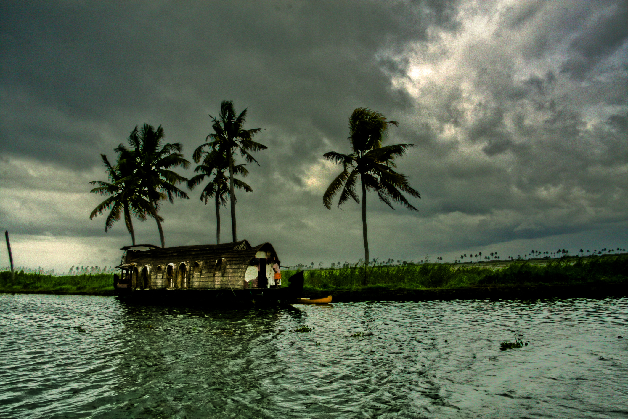 Heavy rain expected in Tamil Nadu & Kerala; strong winds to continue across north India: IMD scientist Soma Sen