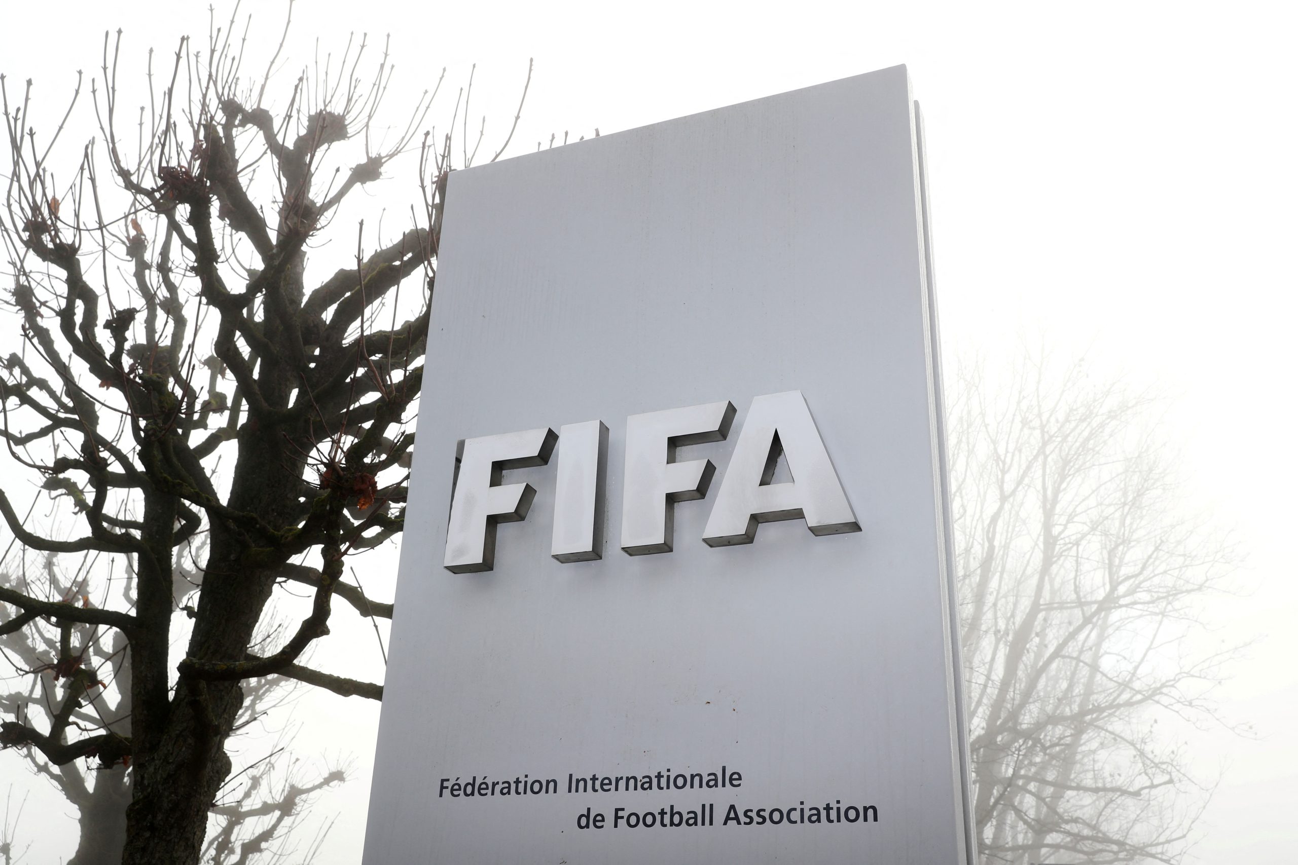 FIFA must halt Saudi World Cup bid due to human rights issues, says Amnesty