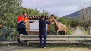 Spain grapples with devastating floods as death toll surpasses 150