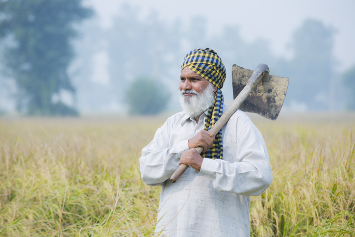 Punjab: Missing The Forest For The Trees