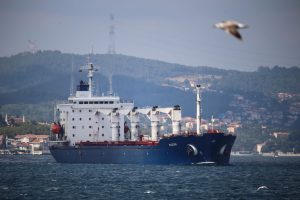 Russian exporters won't stop supplying wheat to Syria unilaterally