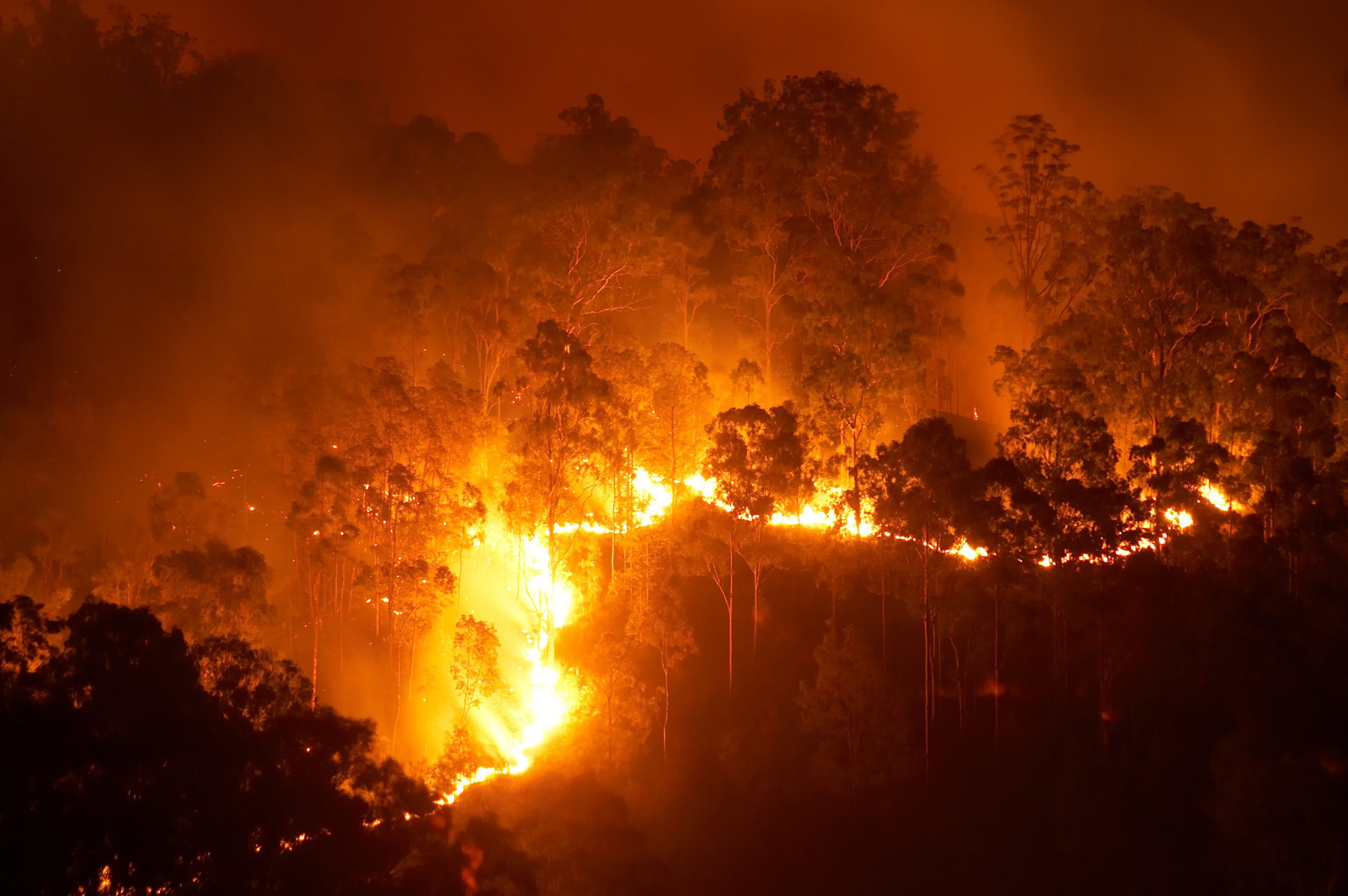 Out-of-control Australia bushfire will burn for days, officials say