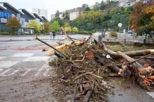 Historic cyclone batters France's Mayotte territory, devastation feared