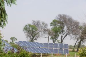 India's Renewable Energy Sector Attracts Record Investment in 2023