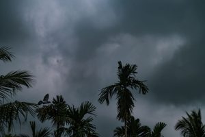 Hundreds, possibly thousands, feared dead as Cyclone Chido devastates French island of Mayotte