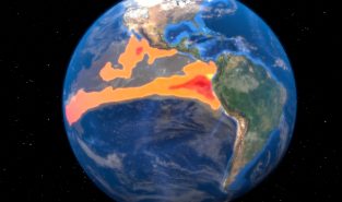 Global fire outbreaks hit record high as 'unprecedented' heat extremes loom, scientists say