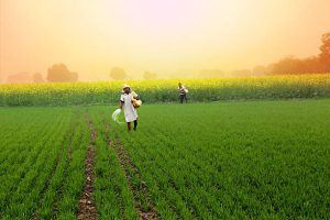 Centre disburses Rs. 122 crore to over 1,700 agri-start-ups: Union Minister Bhagirath Chaudhary