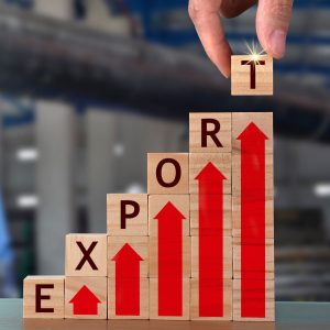 Forward-looking strategic trade roadmap to create more vibrant export sector: Economic Survey