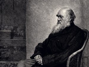 Climate activists deface Darwin's grave at London's Westminster Abbey