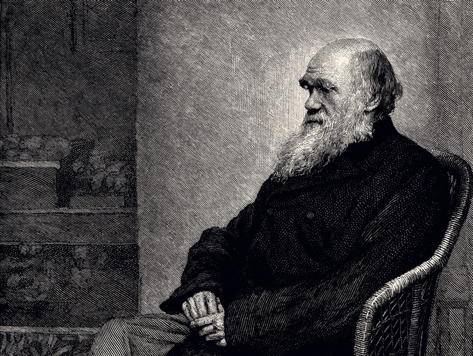 Climate activists deface Darwin’s grave at London’s Westminster Abbey