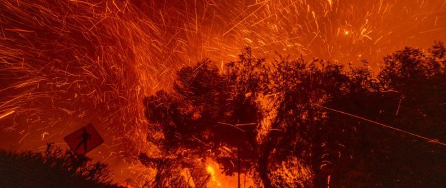 Climate Change & Wildfires: Environmental, human and economic costs
