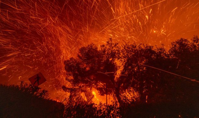 Climate Change & Wildfires: Environmental, human and economic costs