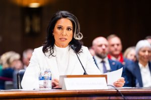 Gabbard faces criticism over Russia, Snowden in intelligence confirmation hearing