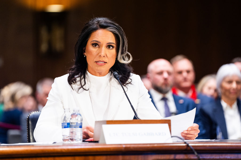 Gabbard faces criticism over Russia, Snowden in intelligence confirmation hearing