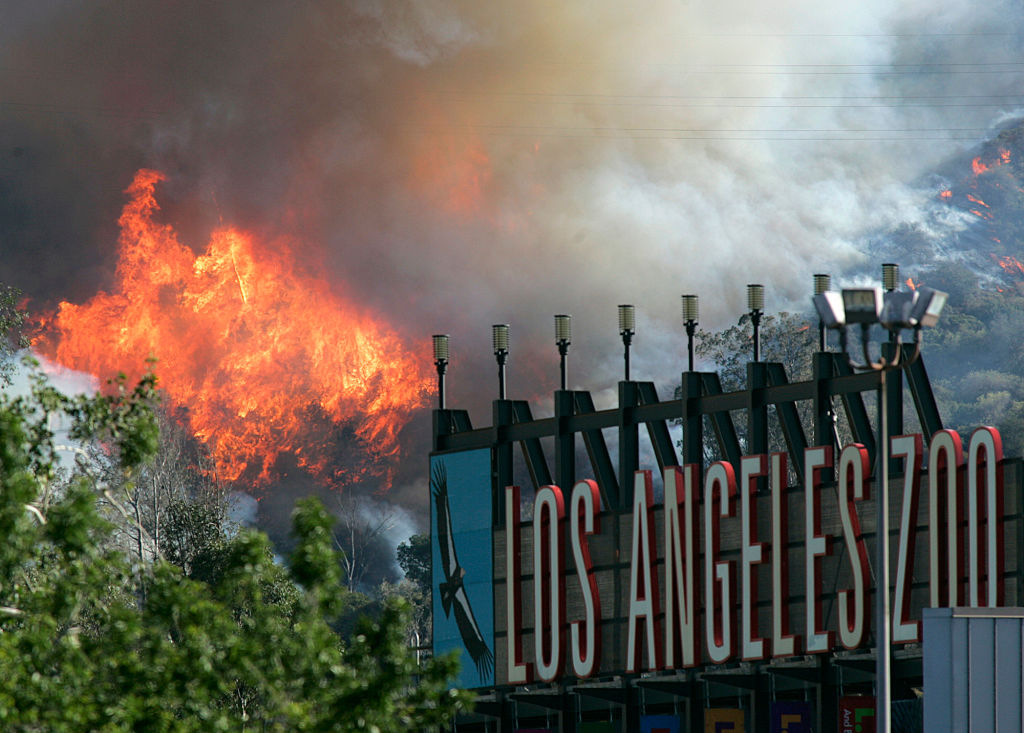 Ring of fire tightens around Los Angeles as Hollywood Hills burn