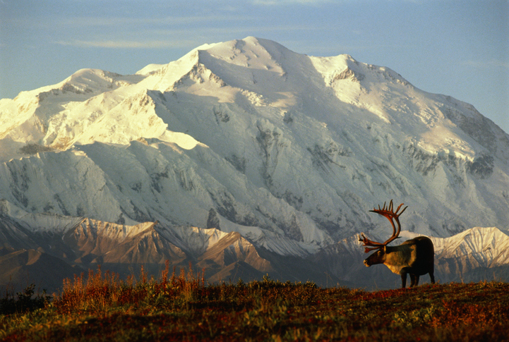 Alaska sues Biden administration over oil and gas leases in Arctic refuge