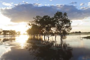 One dead, thousands urged to evacuate as Australia's northeast battles floods